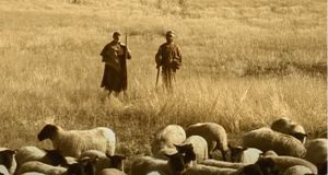 Shepherds in the field